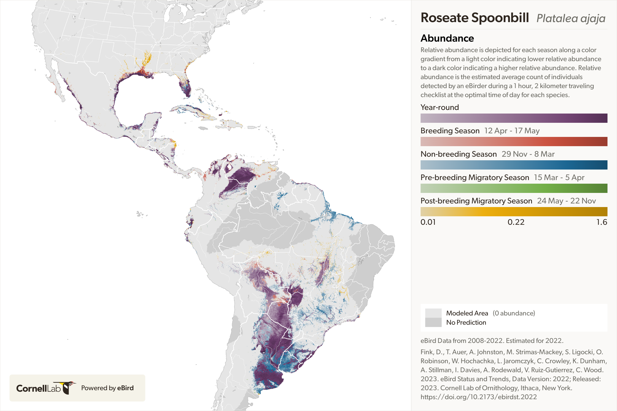 Roseate Spoonbill Range Map Eurasian Spoonbill (Platalea Leucorodia)
