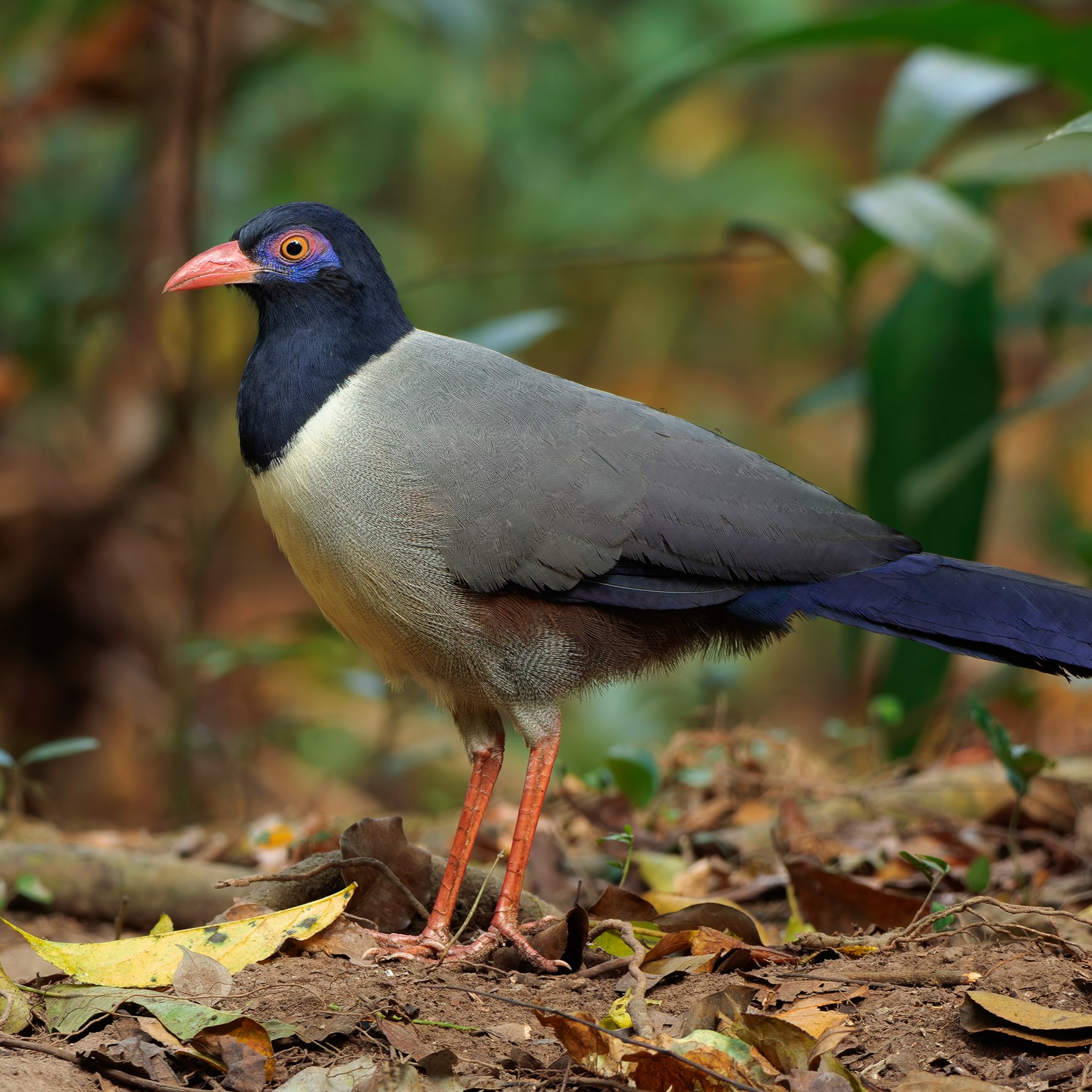 Yetuk qoshni Tanya porno Rus onalar bilan jinsiy porno