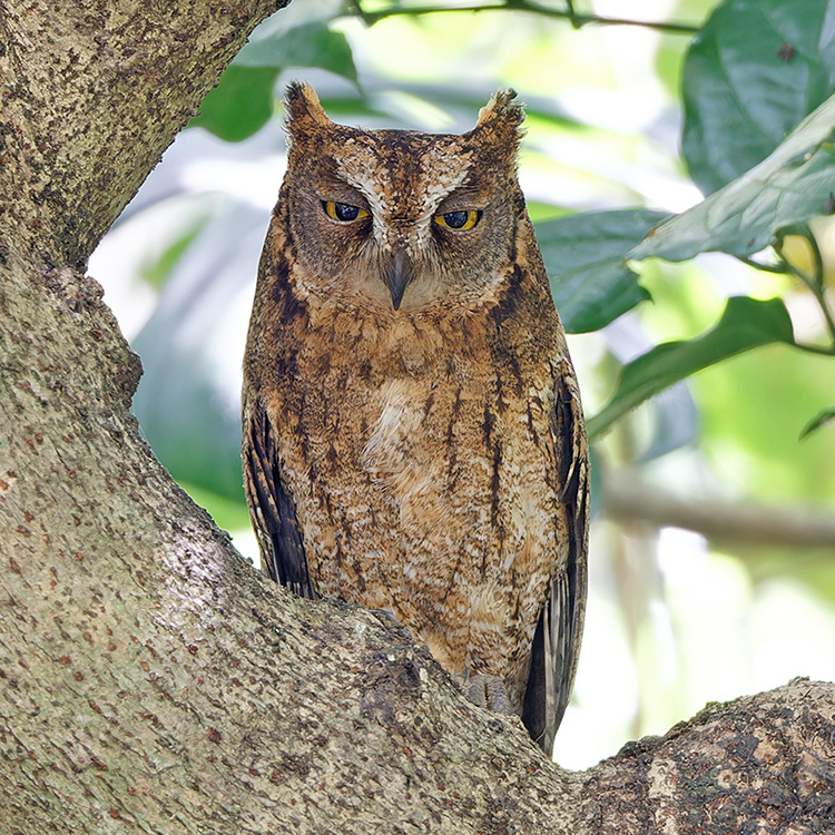 小琉球10月適合去嗎？