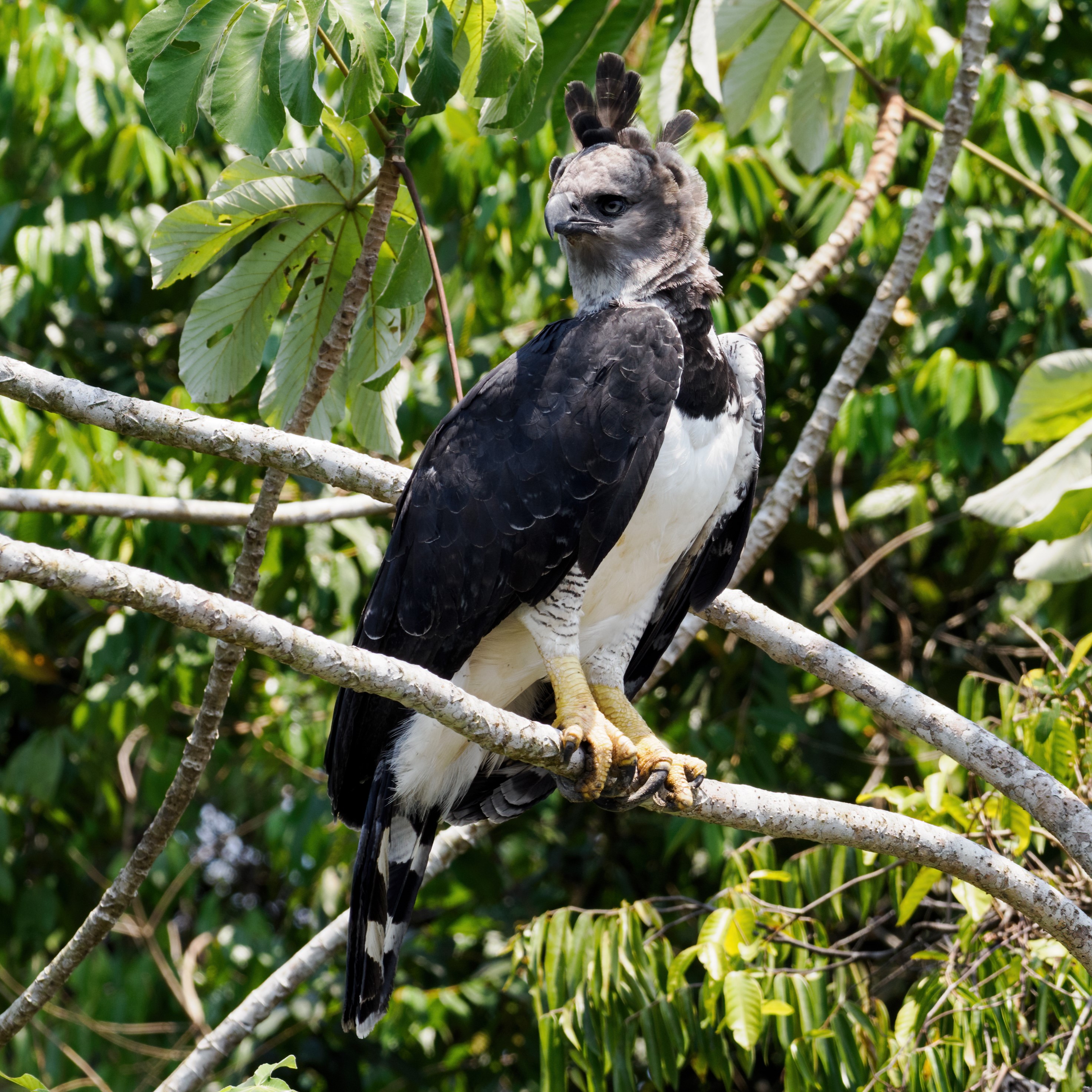 Drogobich jinsiy aloqa uchun